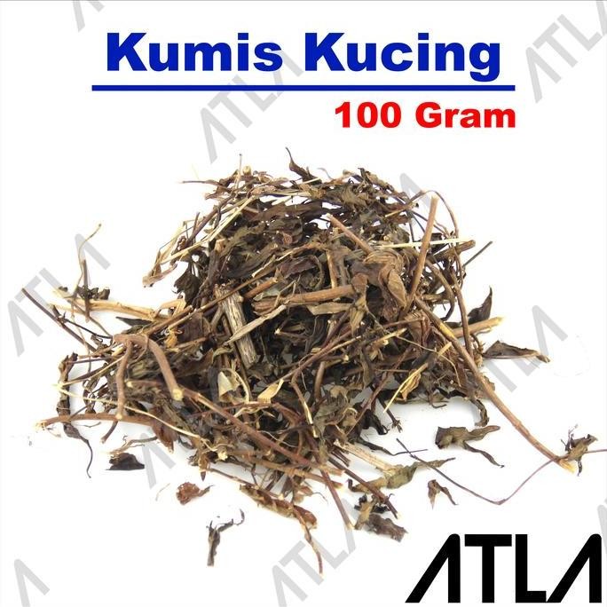 

favorit] Daun Kumis Kucing Kering 100 Gram Tanaman Obat Jamu Herbal Tradisional