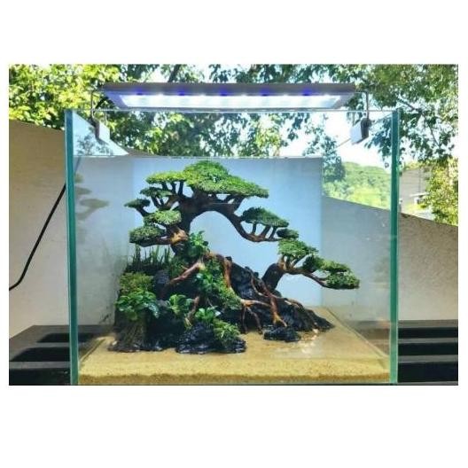 Terlaris Bonsai Aquarium Aquascape Hiasan Aquarium Aquascape Bonsai Df Aquarium Aquascape