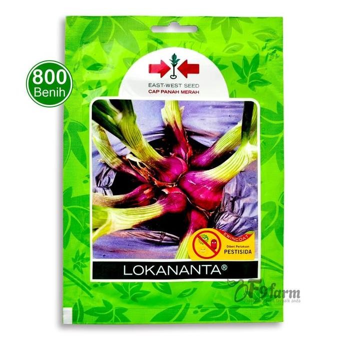 

Terlaris Benih Bibit Bawang Merah Lokananta 800 Biji Cap Panah Merah