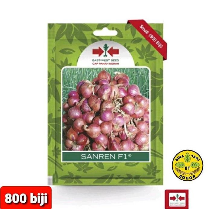 

Terlaris Benih/Bibit Unggul Bawang Sanren F1/Isi Kemasan 800 Biji Merah