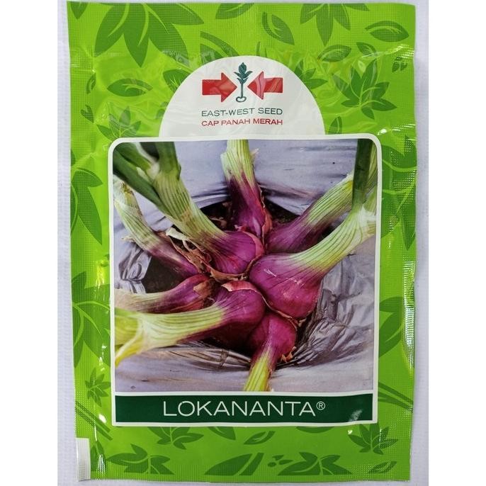 

Terlaris (Masterpice) Benih Bawang Merah Lokananta 10 Gram - Bibit Unggul Cap Panah Merah