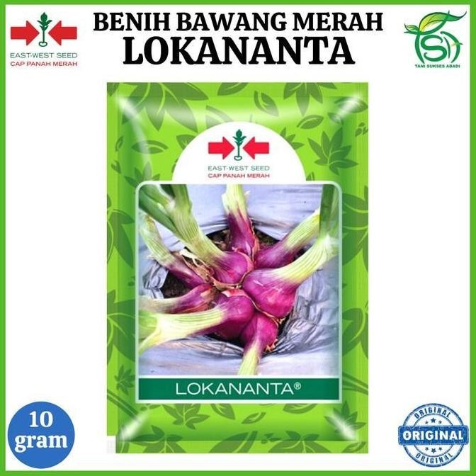 

Terlaris Produk Promo Benih Bawang Merah Lokananta 10 Gram - Bibit Unggul Cap