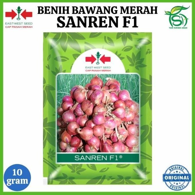 

Terlaris Benih Bawang Merah Sanren F1 (10 Gram) - Bibit Cap Panah Merah 10 Gr