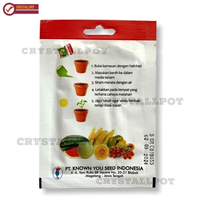 

Terlaris Ready Benih Bibit Daun Bawang Freda Known You Seed - Kys Freda Kemasan Merah