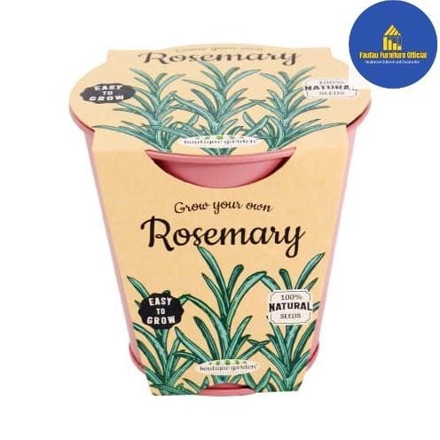 

Terlaris Set Bibit Tanaman Rosemary Dengan Pot Zinc Media Tanam Praktis_Pink