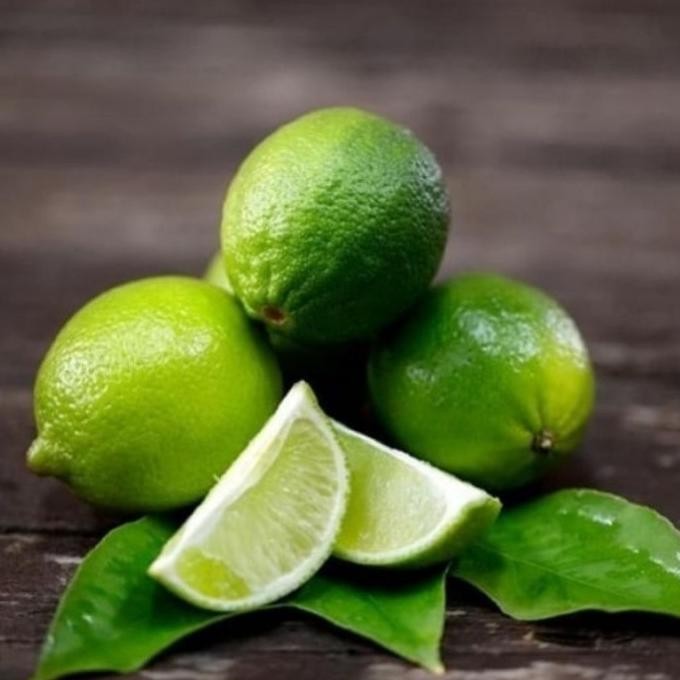 

Terlaris Bibit Jeruk Nipis / Jeruk (Okulasi Cepat Berbuah) Vvtpnm 3411Ci