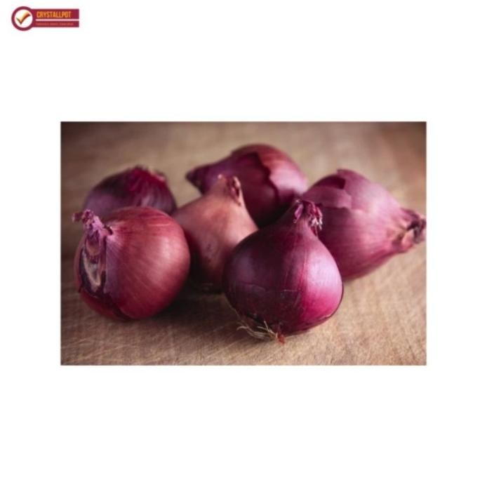

Terlaris Benih Bibit Bawang Merah Lokananta Cap Panah Merah - Lok Popwki 3948Mh