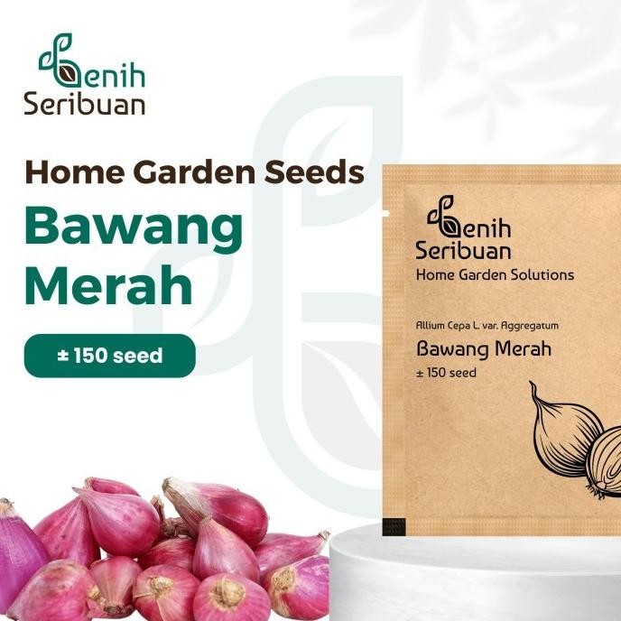 

Terlaris Bibit Bawang Merah Unggul Benih Sayuran Seribuan