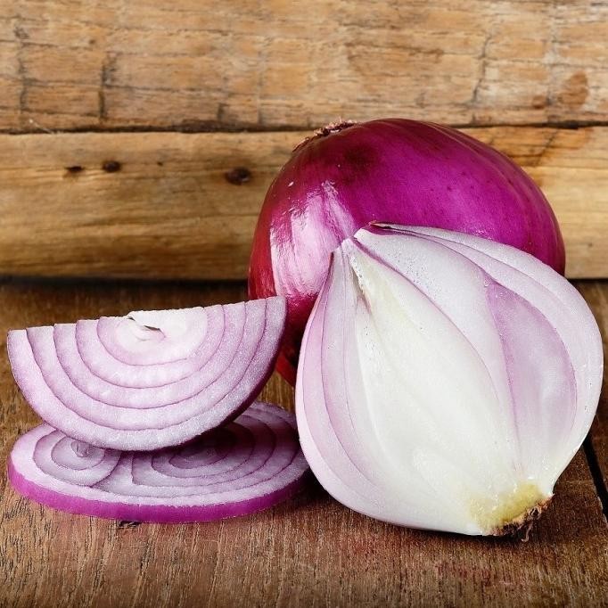 

Terlaris Bibit Benih Bawang Merah Red Burgundy Red Onion Bibit Unggul