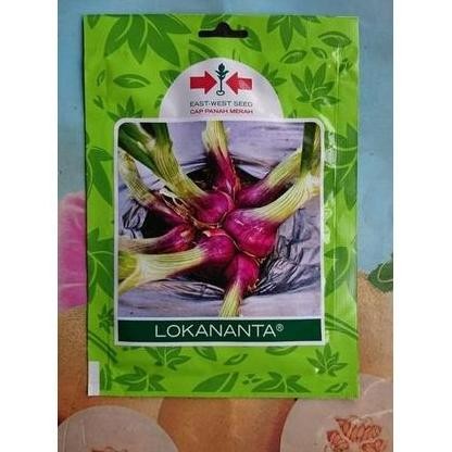 

Terlaris Bibit Benih Unggul Bawang Merah Lokananta 800Bj