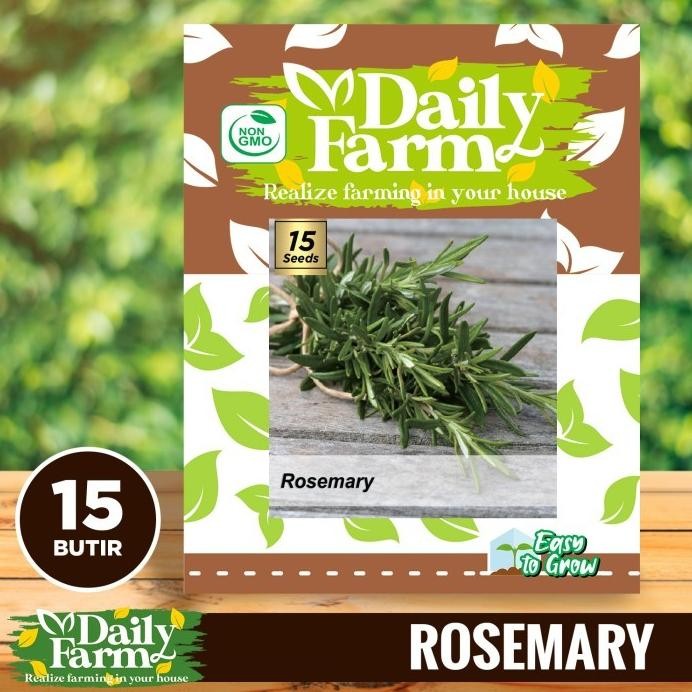 

Terlaris Daily Farm - Benih Bibit Rosemary - Bibit Herb Seed