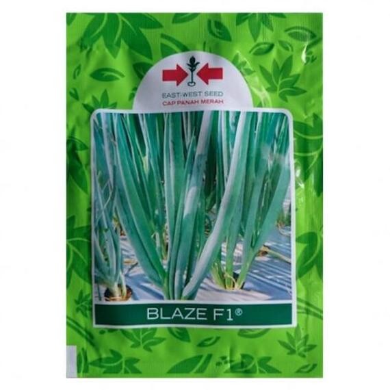 

Terlaris Ready Benih Biji Bibit Daun Bawang Blaze F1 10Gr Sayur Prei Cap Panah Merah