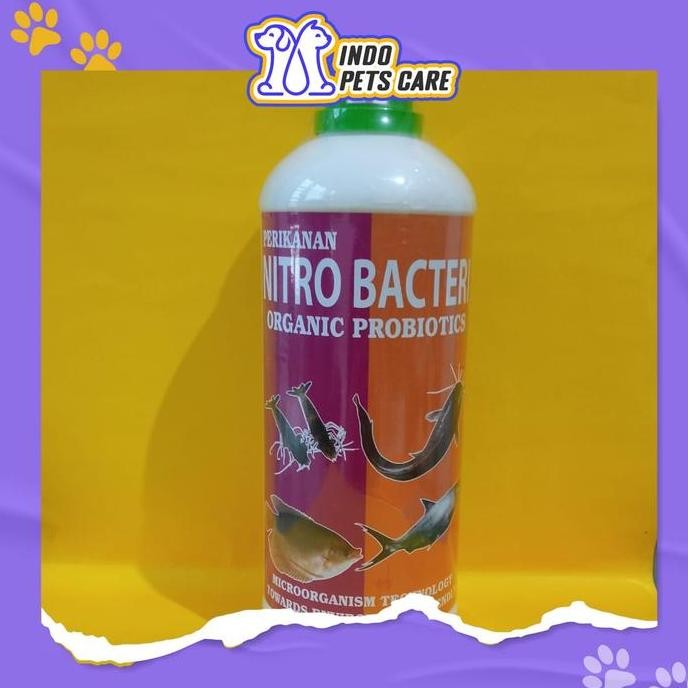 Terlaris Obat Vitamin Probiotik Cair Ikan - Nitro Bacter 1Liter- Uraikan Amonia