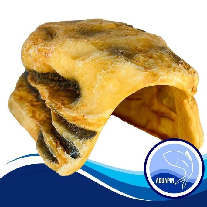 

Terlaris Hiasan Aquarium Goa Batu 7661