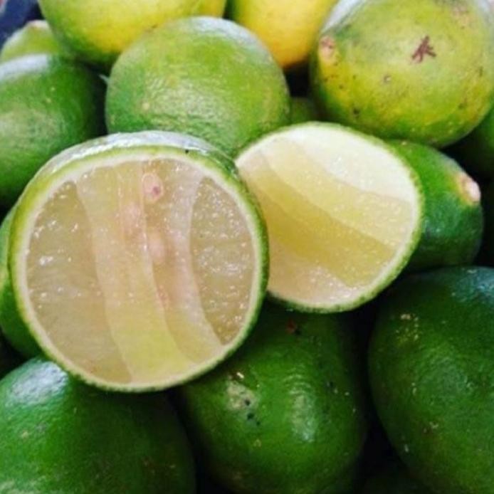 

Terlaris Pohon Jeruk Nipis Kampung Bibit Jeruk Nipis Lokal Enroez 2487Gi