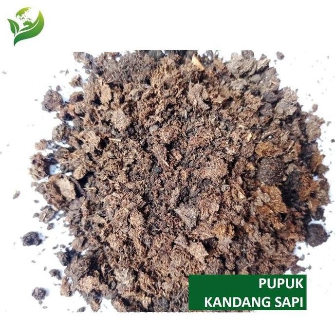 

Terlaris Pupuk Kandang Sapi Murni 100% Kemasan 1 Kg Kualitas Bagus Dan Tidak