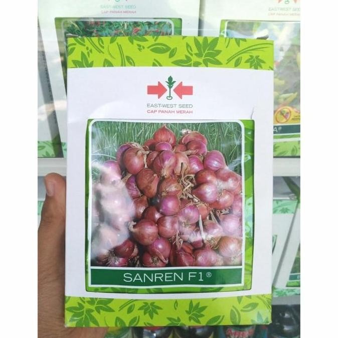 

Terlaris Benih Bawang Merah Sanren F1 (50 Gram) - Bibit Cap Panah Merah 50 Gr