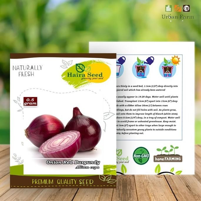 

Terlaris Benih-Bibit Bawang Merah Red Burgundy (Haira Seed)