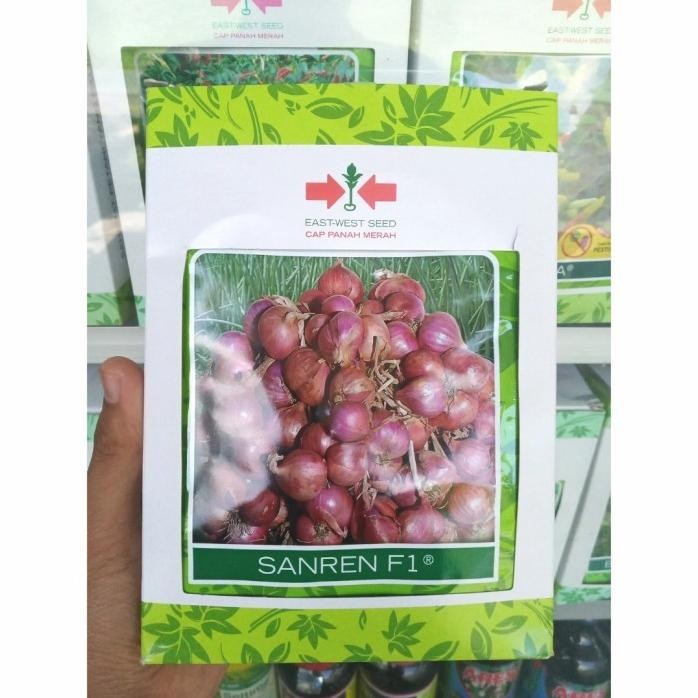 

Terlaris New Benih Bawang Merah Sanren F1 (50 Gram) - Bibit Cap Panah Merah 50