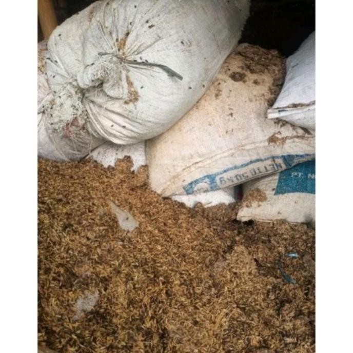 

Terlaris Termurah Media Tanam Pupuk Kandang Ayam 1 Kg Cod