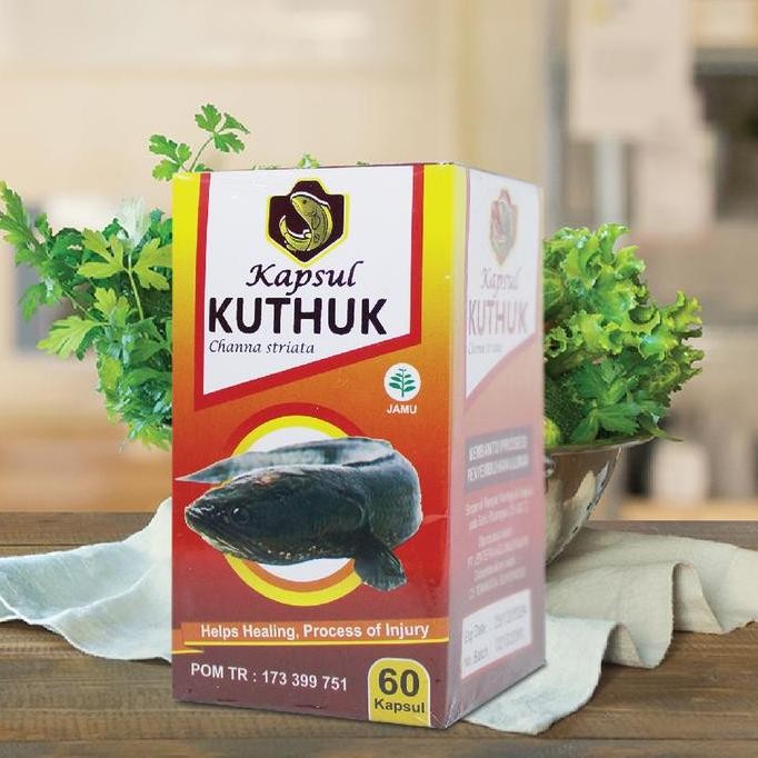 

Terlaris Kuthuk 60 Kapsul Ikan Kutuk Premium Albumin Ikan Gabus Vitamin Membantu Mengeringkan Gejala Luka Dan Jahitan Pasca Operasi Original Izin Bpom