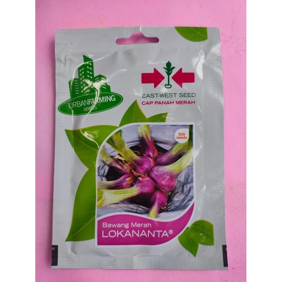 

Terlaris Ready Fresh Benih Bibit Bawang Merah Unggul Lokanta