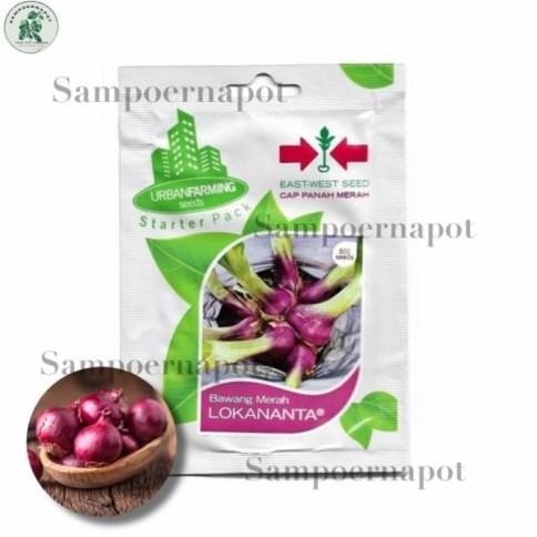 

Terlaris Best Benih Bibit Bawang Merah Lokananta Cap Panah - Lokananta