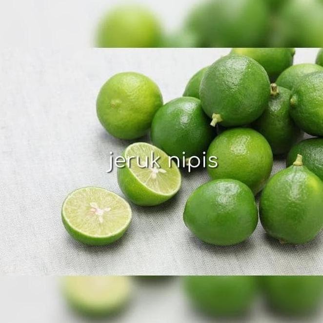 

Terlaris Termurah Bibit Pohon Jeruk Nipis Tanaman Buah Herbal Anjai Berkualitas