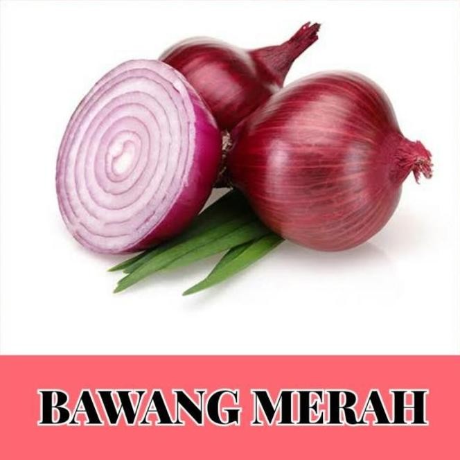 

Terlaris Ankn Benih Bawang Merah Tuk Tuk/Bibit Bawang Merah