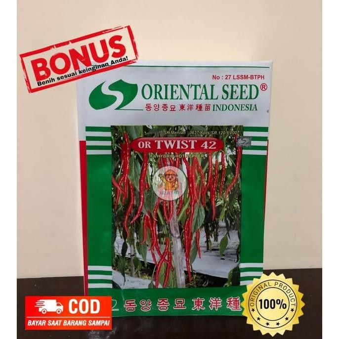 || BANANA / Benih Cabe Keriting F1 hybrid OR Twist 42 ||~~~