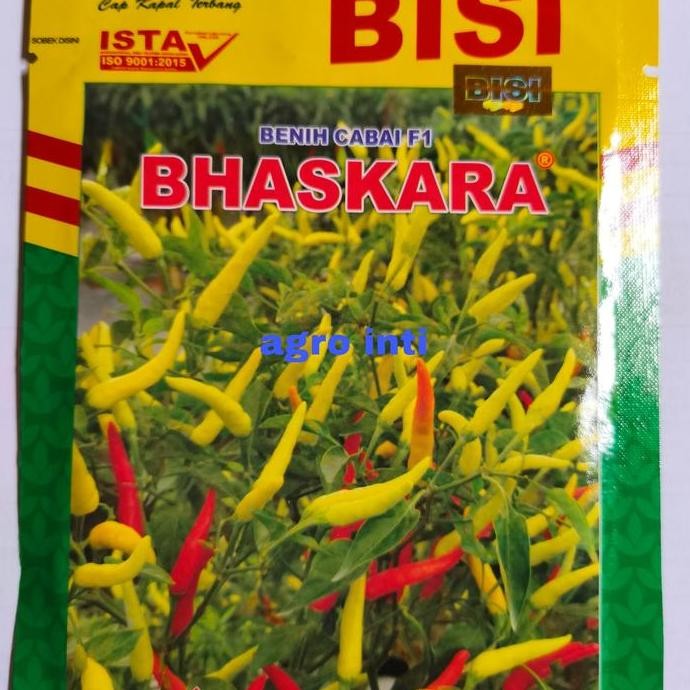 || BANANA / Benih bibit cabe rawit hibrida BHASKARA F1 isi 10gr dari kapal terbang ||~~~
