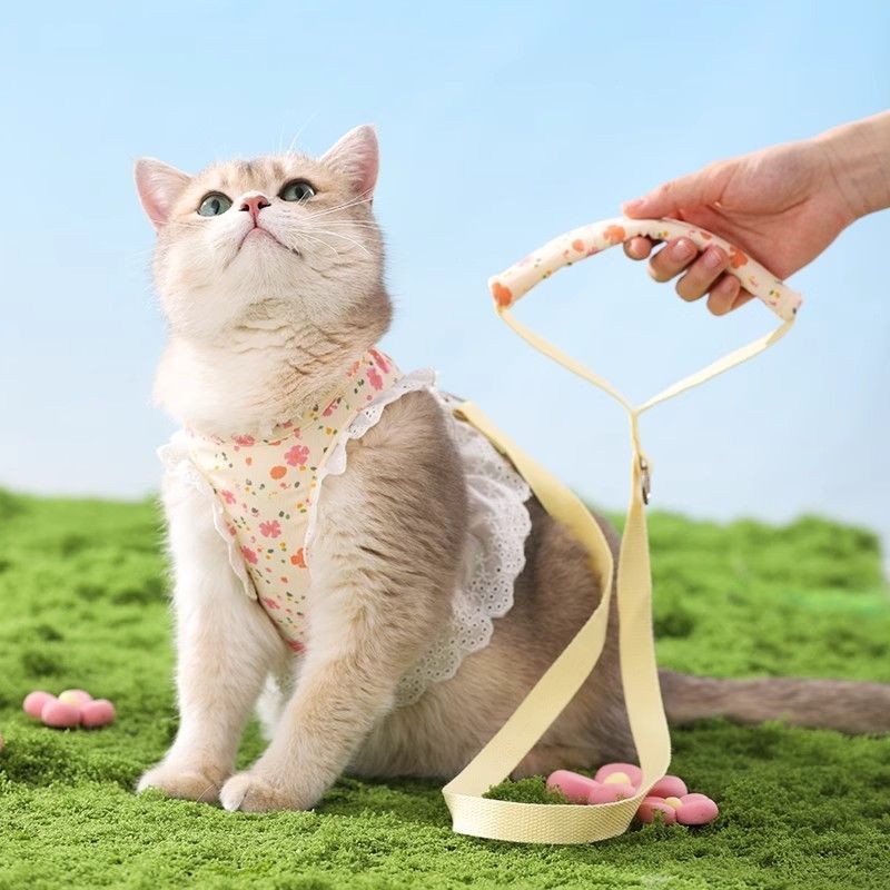 Planet Ekor COD  Tali traksi kucing untuk mencegah kucing kabur keluar, rantai khusus kucing untuk k