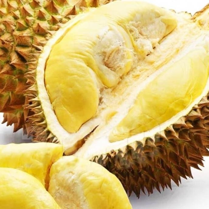 

Terlaris Bibit Tanaman Buah Durian Monthong / Montong 90 Cm