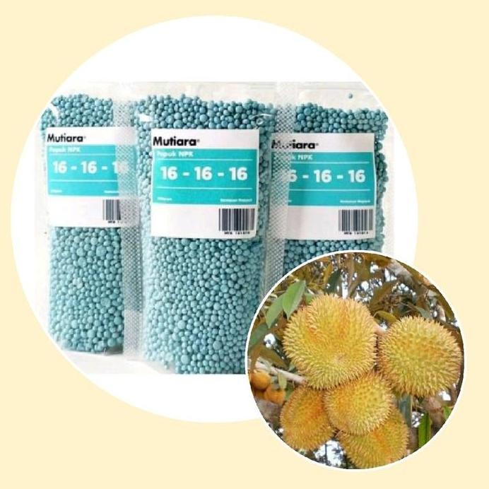 

Terlaris Pupuk Tanaman Durian Cepat Berbuah(Bibit)
