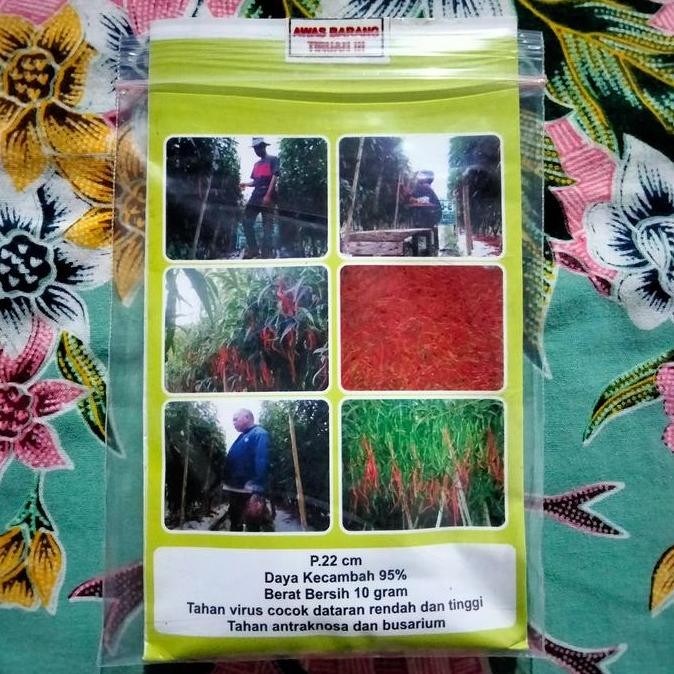 || BANANA / Bibit Cabe Awe Aceh 10gr - Benih Cabe Merah Keriting Awe Aceh- CMK Awe ||~~~