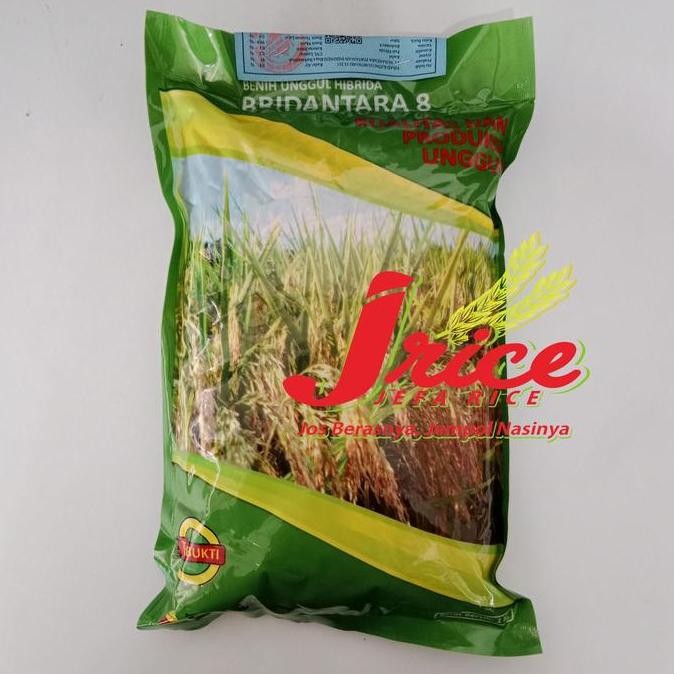 || BANANA / BENIH PADI HIBRIDA BRIDANTARA 8 ||~~~