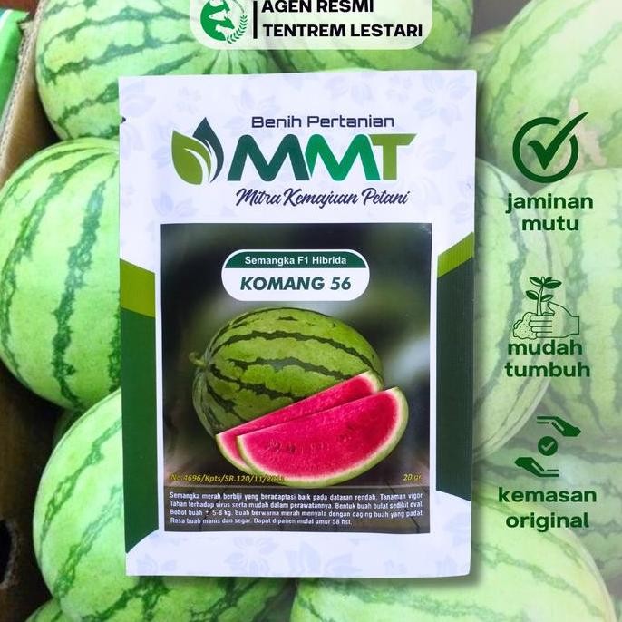 || BANANA / Benih Semangka F1 Hibrida KOMANG 56 20 gram Cap MMT Berdaging manis & Padat ||~~~