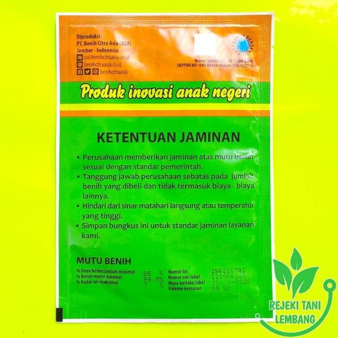 || BANANA / BENIH CABAI BESAR DARMAIS F1 ISI 10 GR ||~~~