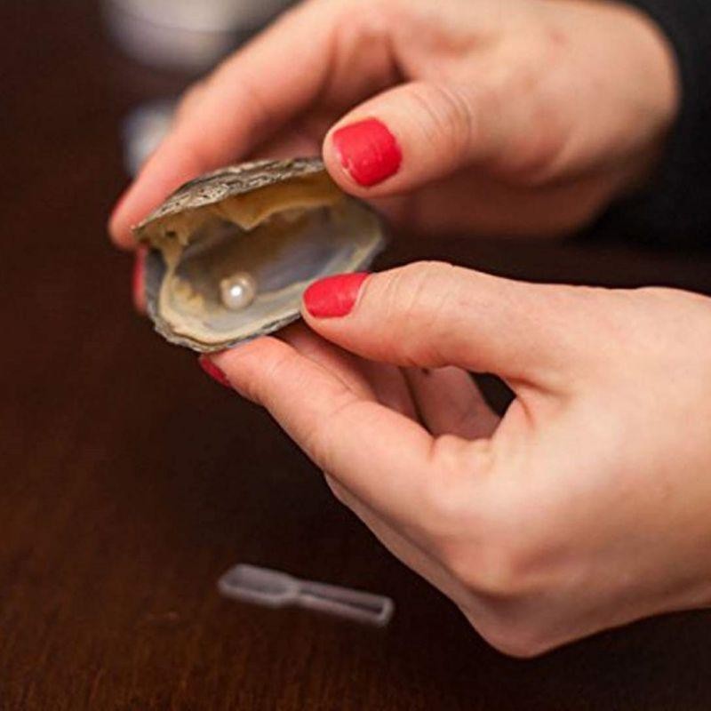 Kalung Mutiara Kerang Asli Pearl Necklace Kalung Liontin Kerang Mutiara Gantungan Kunci Mutiara