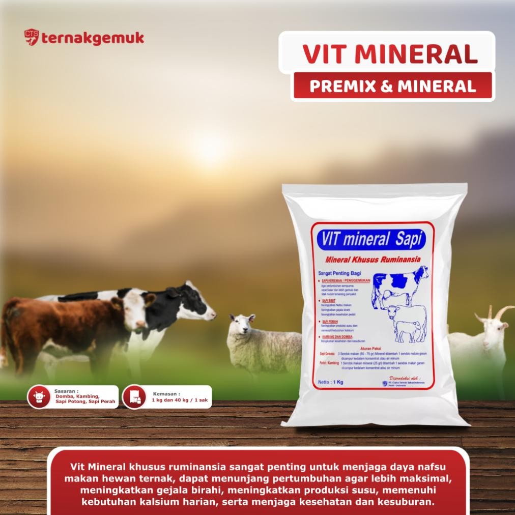 Terlaris VIT MINERAL SAPI - KALSIUM PENGGEMUK SAPI KAMBING TERNAK PELENGKAP PAKAN KONSENTRAT Terbaru