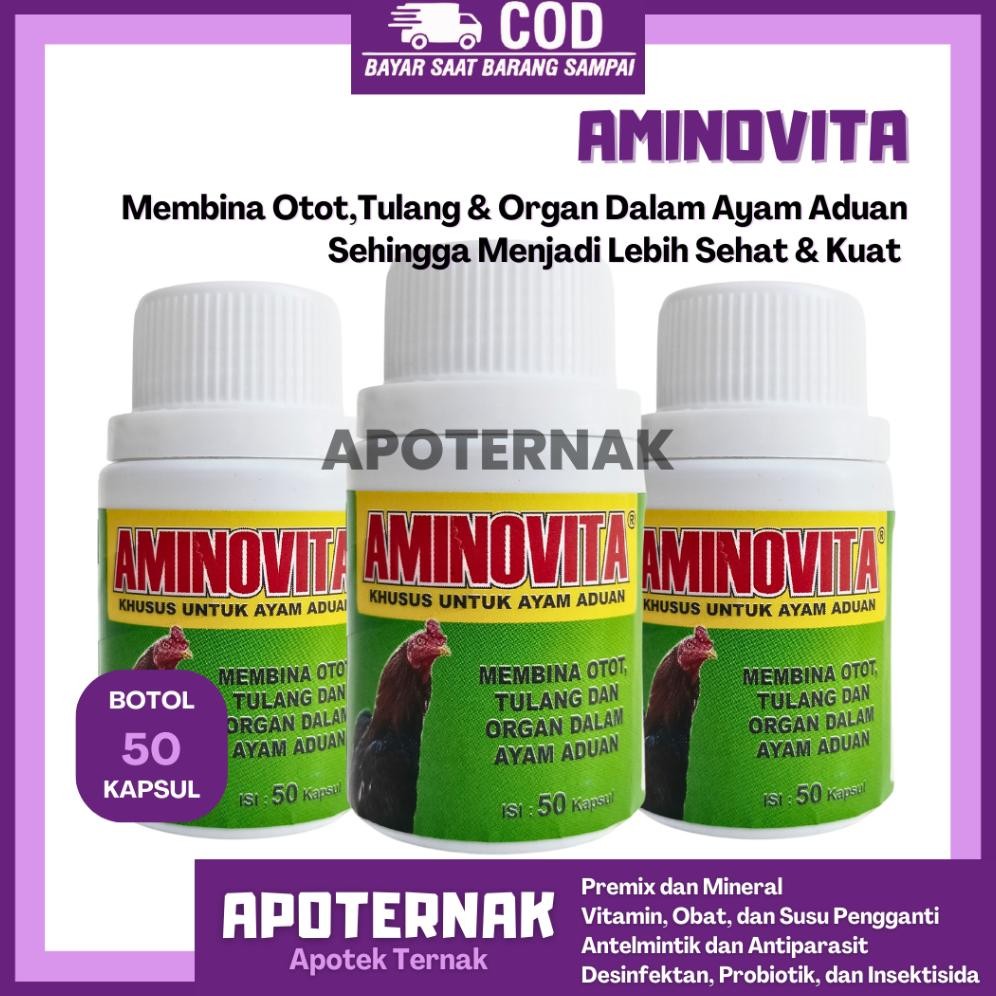 Terlaris AMINOVITA 50 KAPSUL - Obat Penguat Otot Tulang & Organ Dalam Ayam Aduan - Obat Ayam Aduan -