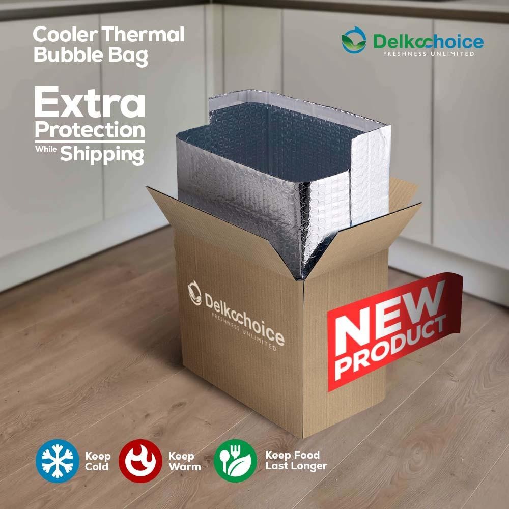 Cooler Thermal Bubble Bag Insulated Pouch Tas Cooler Cooler Bag