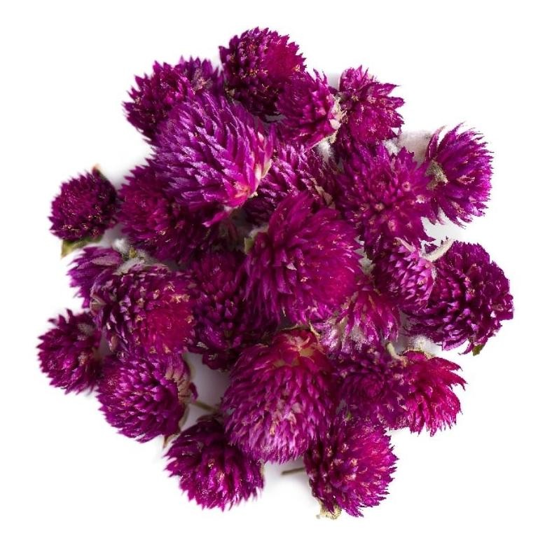 

Bunga Globe Amaranth Kering isi 250 gram