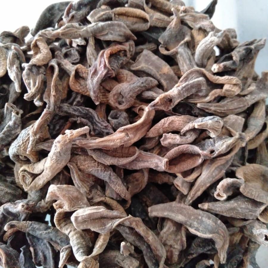 

Lintah Kering 37Gr - Asli 100% Untuk Stroke
