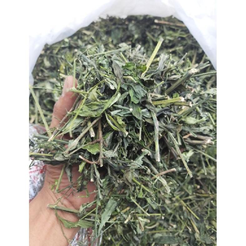 

Sambiloto Sambiroto Cacah Kering Hijau 250 Gram