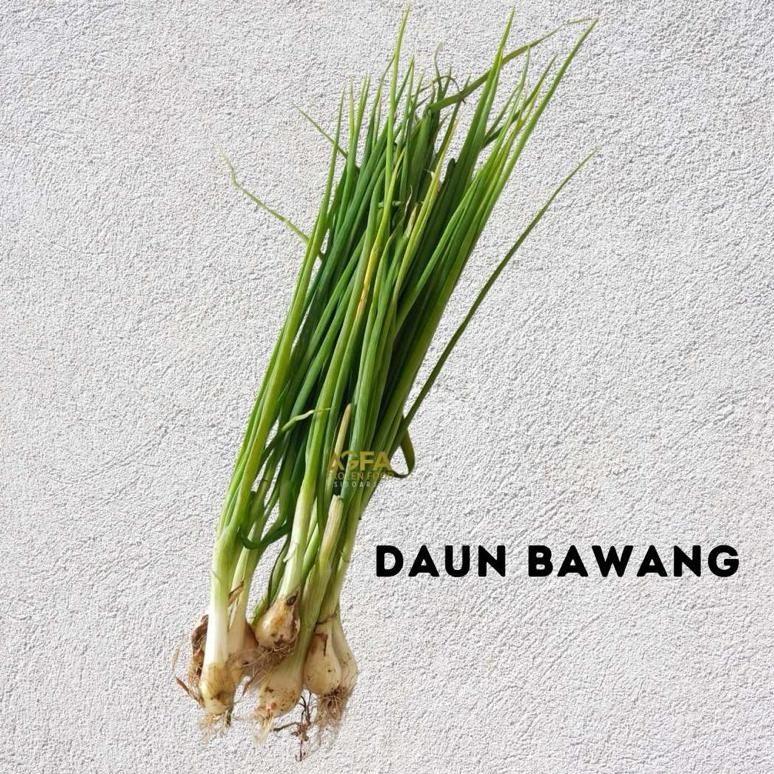 

Aman Terbaik Daun Bawang / Daun Prei / Seledri