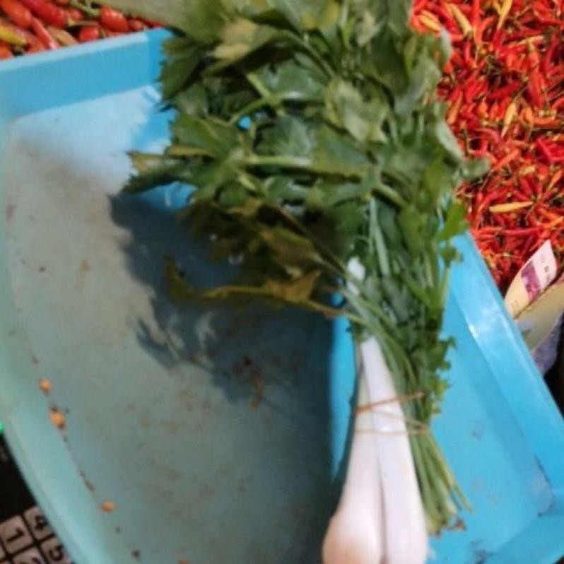 

Mampu Bersaing Daun Bawang Kecil-Kecil/Daun Sop/Daun Bawang Per Ikatan Kecil