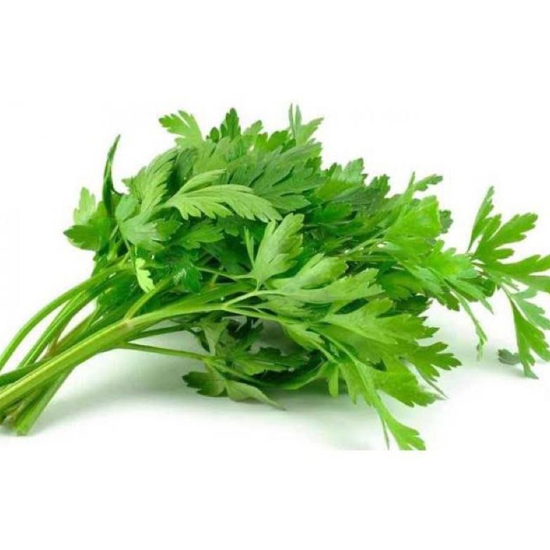

Mudah Digunakan Sayurhd Daun Seledri 100Gr