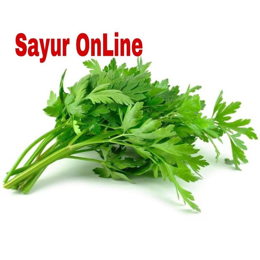 

Original Seledri Daun Sledri Segar Daun Sop 100 Gram