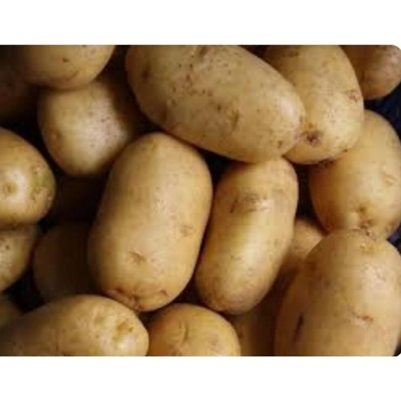 

Premium Terbaik Kentang Kuning Jurang Kuali Batu